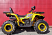 Квадроцикл PROMAX STORM 280 LUX в Екатеринбурге