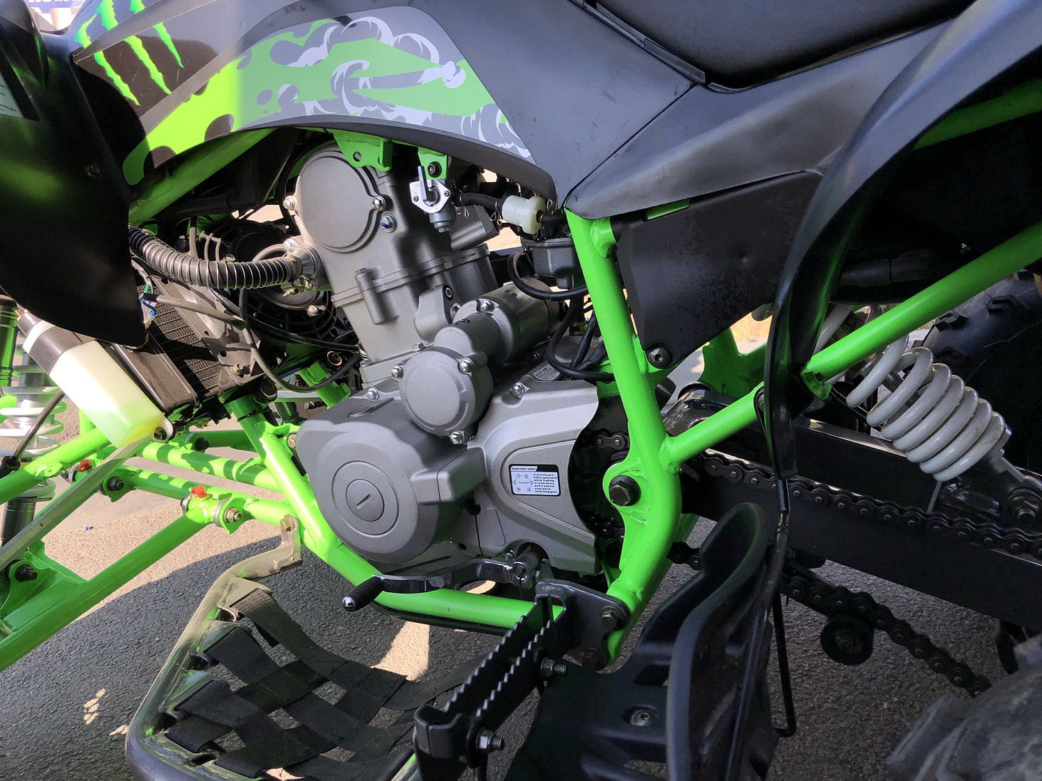 Квадроцикл PROMAX RAPTOR 300 NEW Monster в Екатеринбурге