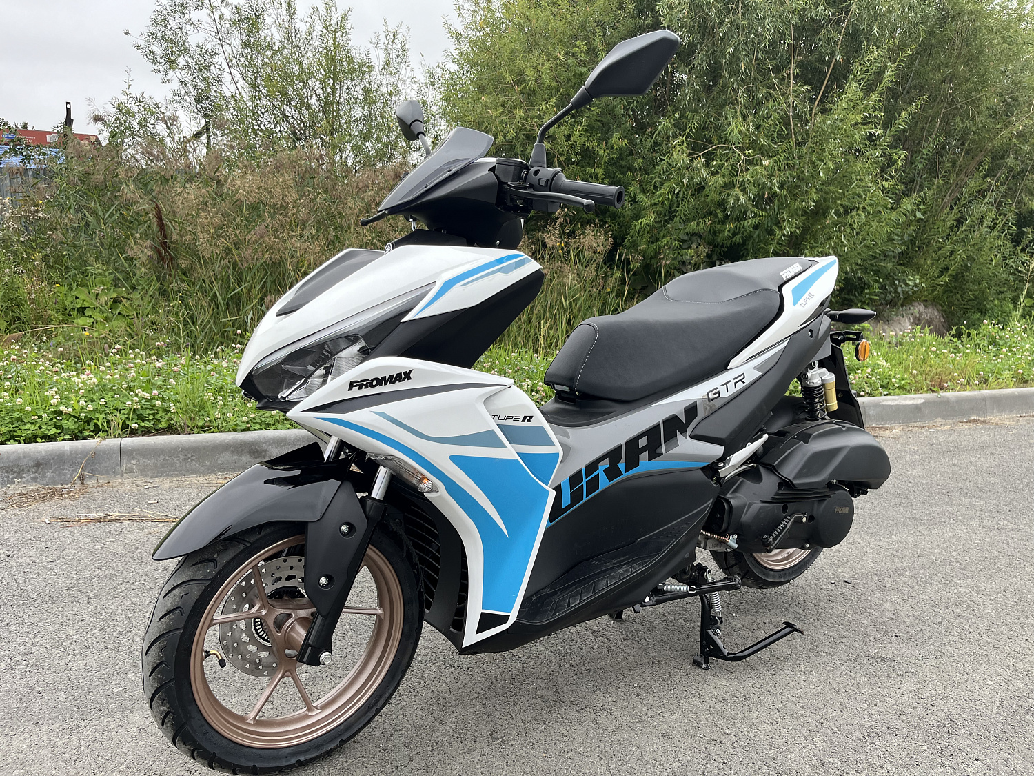 Скутер PROMAX TURAN 250 (49) в Екатеринбурге