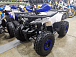 Квадроцикл PROMAX WILD 175 LUX в Екатеринбурге