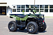 Квадроцикл IRBIS ATV 200 LUX (+лебедка) в Екатеринбурге