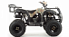 Квадроцикл MOTOLAND (МОТОЛЕНД) 200 ALL ROAD в Екатеринбурге