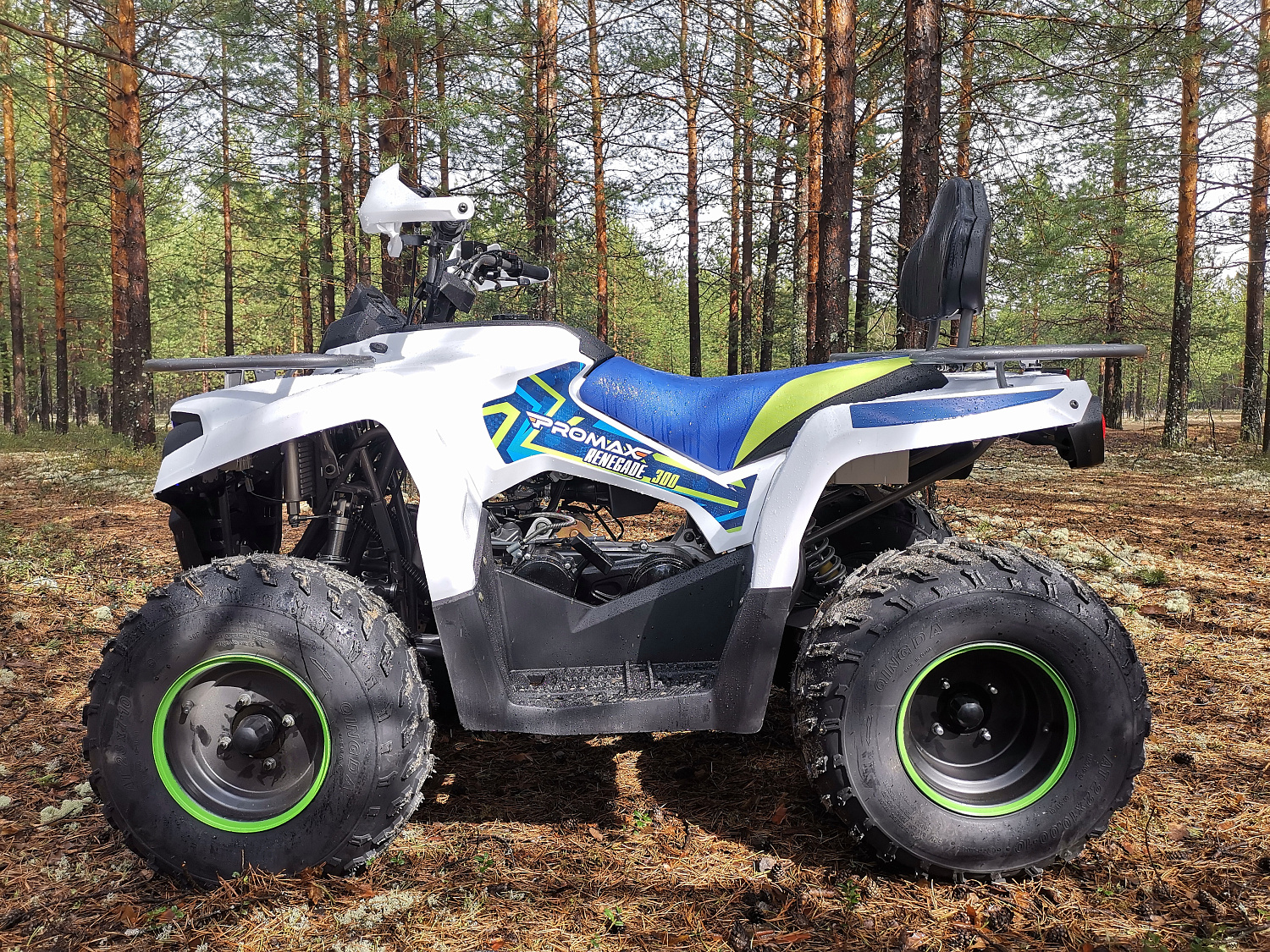 Квадроцикл PROMAX RENEGADE 280 (2025) в Екатеринбурге