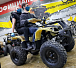 Квадроцикл PROMAX ATV 250 (2025) в Екатеринбурге