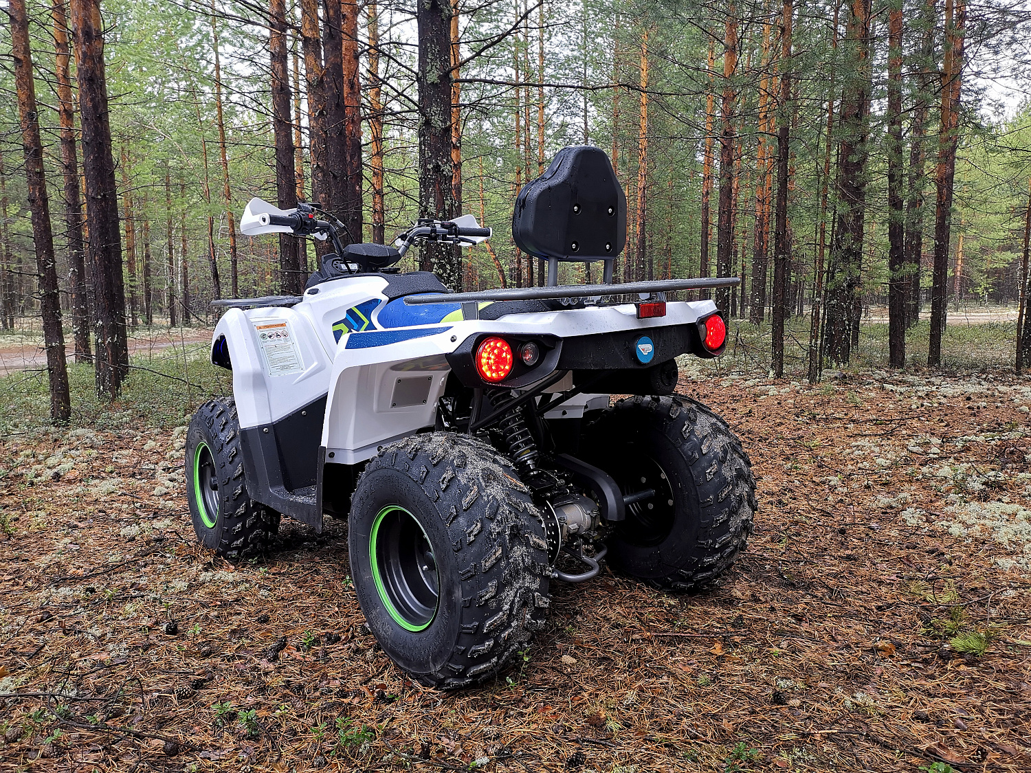 Квадроцикл PROMAX RENEGADE 280 (2025) в Екатеринбурге