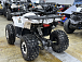 Квадроцикл PROMAX WILD 2.0 190 LUX в Екатеринбурге