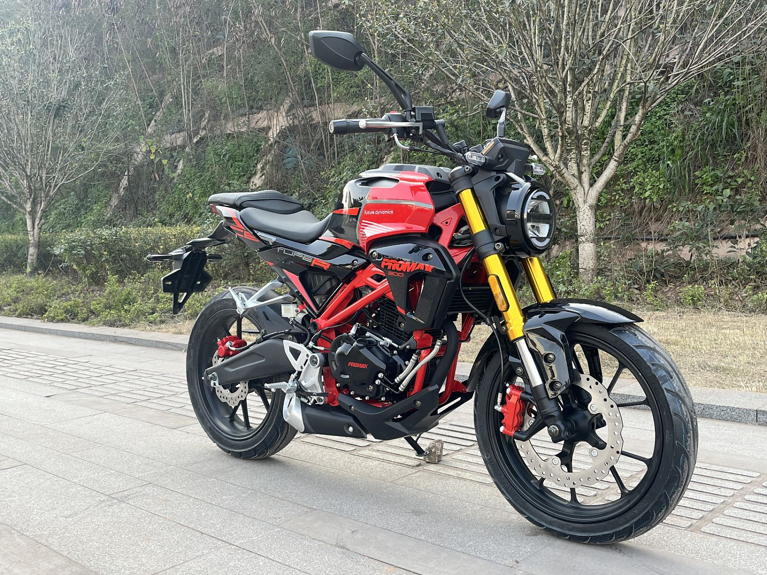 Мотоцикл PROMAX CB300 в Екатеринбурге