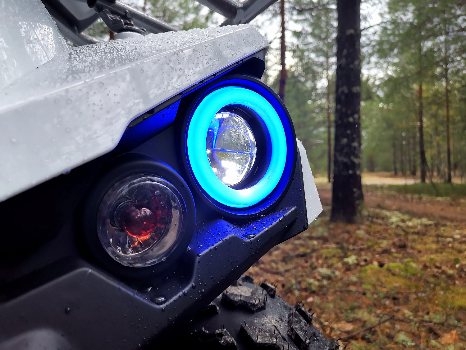 Квадроцикл PROMAX RENEGADE 280 (2025) в Екатеринбурге