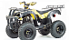 Квадроцикл MOTOLAND (МОТОЛЕНД) 250 ADVENTURE в Екатеринбурге