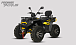 Квадроцикл PROMAX TAURUS 300 MAX-PRO LONG в Екатеринбурге